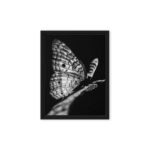 Butterfly Effect Print by Cathy-Ann "Caos" Small