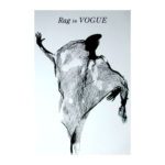 Rags in Vogue